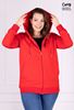 Immagine di PLUS SIZE HOODIE